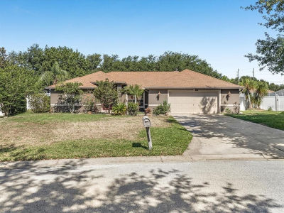 10247 Mason Loop Clermont, FL 34711