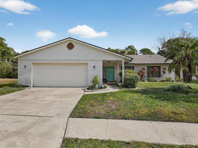11321 Scenic View Ln Orlando, FL 32821