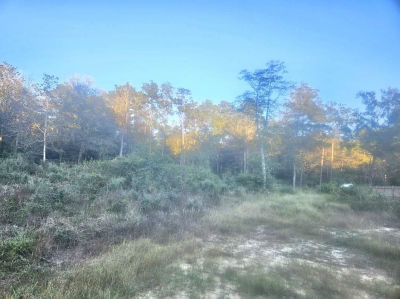 9855 N Park Rd Lumberton, TX 77657