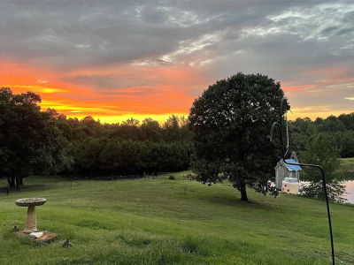 140 County Road 2242 Daingerfield, TX 75638