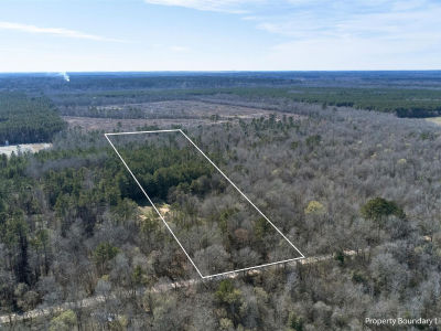 Tr5 County Rd #3071 De Berry, TX 75639