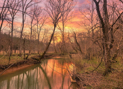 1205 Turner Rd Williamstown, KY 41097