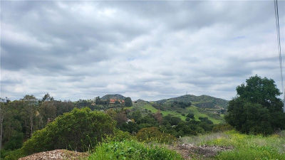 28052 Modjeska Grade Rd LOT 2 Silverado, CA 92676