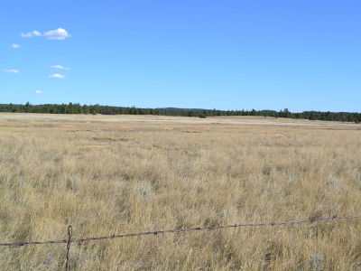 Tbd Moonlight Dr Edgemont, SD 57735