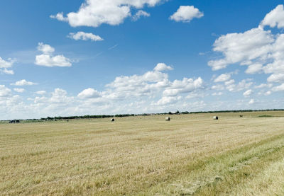 201ACRE S County Road 419 Rochelle, TX 76872