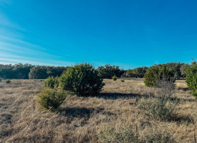 Wild Tree Ln Early, TX 76802