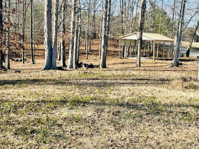 County Road 459 Centre, AL 35960