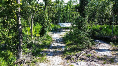 NE 249th Ave Old Town, FL 32680