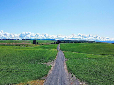 Basket Rd Nezperce, ID 83543