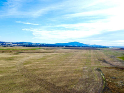 Westlake Rd #80AC Craigmont, ID 83523