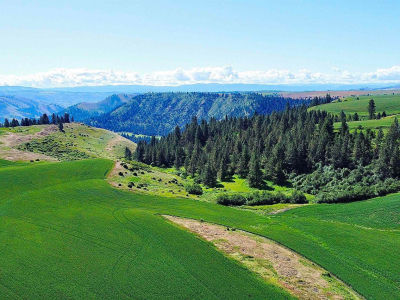 Basket Rd PARCEL 1 Nezperce, ID 83543