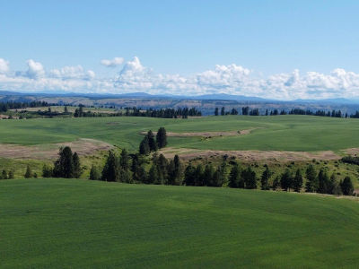 Basket Rd PARCEL 2 Nezperce, ID 83543