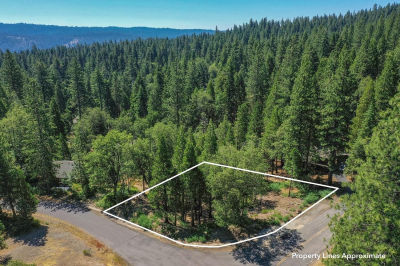 2690 Cheyenne Way Arnold, CA 95223