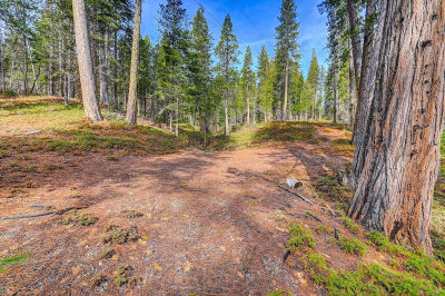 3488 Moran Rd #3184 Avery, CA 95224