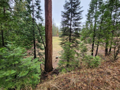 4337 Lakemont Dr Arnold, CA 95223