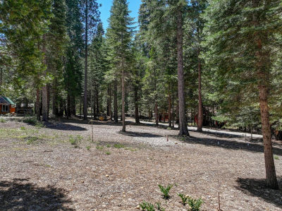 3380 El Camino Boot Strap Arnold, CA 95223