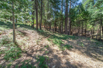 2595 Chamonix Dr Arnold, CA 95223