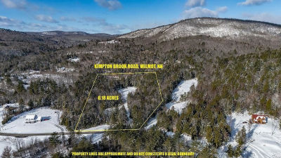 3 Kimpton Brook Rd Wilmot, NH 03287