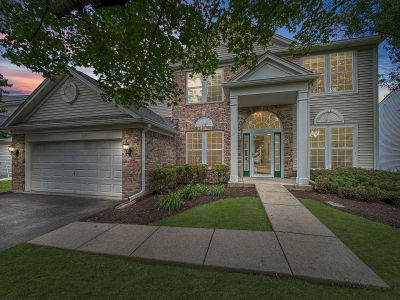 136 Lilac St Bolingbrook, IL 60490