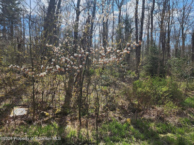 Ridge St Moscow, PA 18444