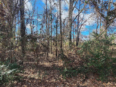107 Southhaven Ave Cabot, AR 72023