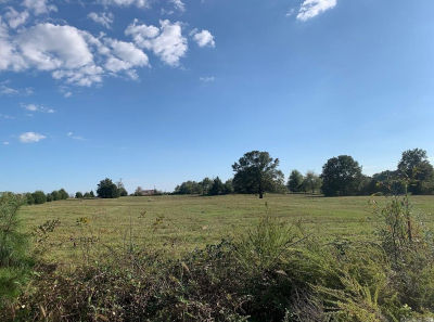 0 Crockett Rd Rose Bud, AR 72137