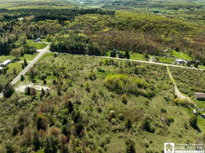 522 Bush Hill Rd #10 Franklinville, NY 14737