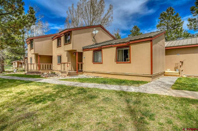 217 Pinon Cswy UNIT 3015 Pagosa Springs, CO 81147