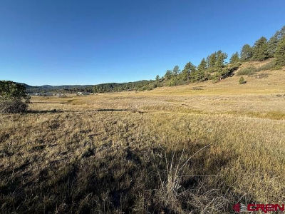 980 Catchpole Dr Pagosa Springs, CO 81147