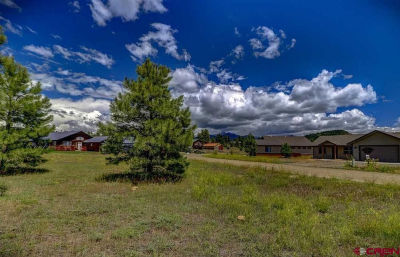 19 Sugarloaf Dr Pagosa Springs, CO 81147
