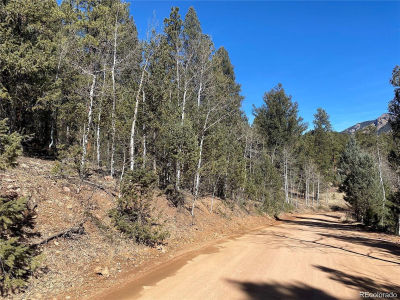 12373 S Polly Dr Pine, CO 80470