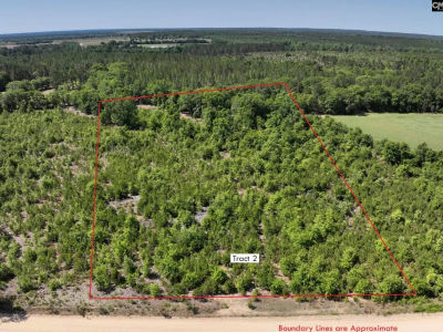 LOT 2 Charlie Johnson Rd Bethune, SC 29009