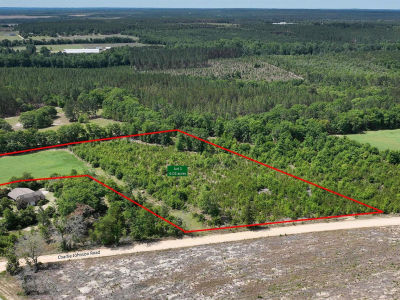 LOT 1 Charlie Johnson Rd Bethune, SC 29009