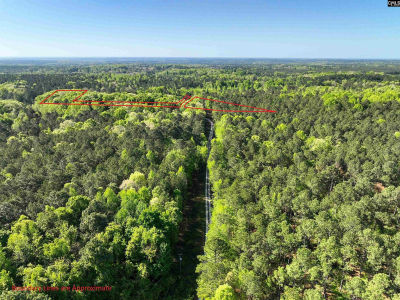 Spalding Dr Blackstock, SC 29014