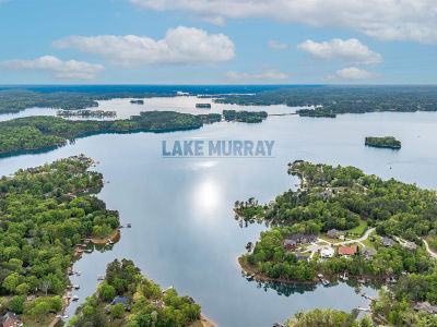1005 Refuge Pl Lot 20 Chapin, SC 29036