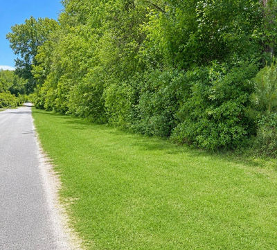1288 Maple Ave Denmark, SC 29042
