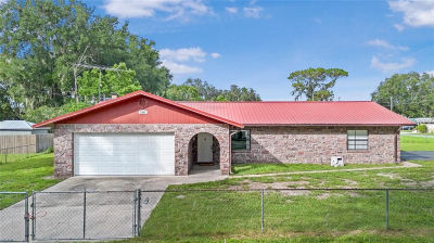 2047 County Road 446 Lake Panasoffkee, FL 33538