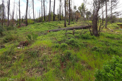 11541 Anderson Springs Rd #6 Middletown, CA 95461