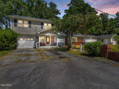 9413 State Highway 304 Mesic, NC 28515