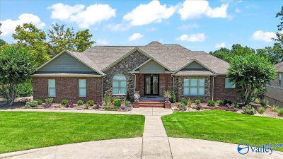 100 Spy Glass Cv Guntersville, AL 35976