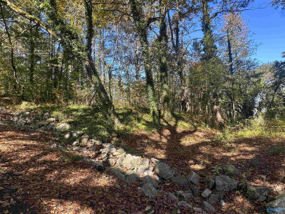 4 Smith Ln Guntersville, AL 35976