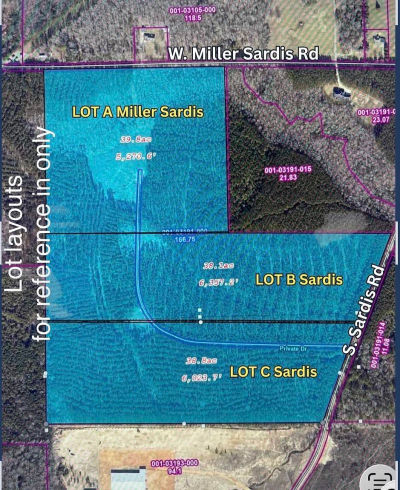 S Sardis Rd LOT B Bauxite, AR 72011
