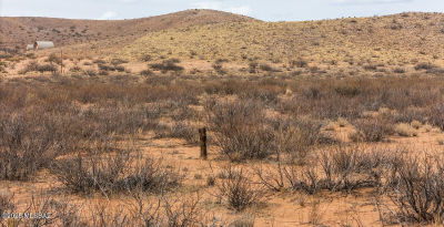 S Morgan Ranch Rd #196 Pearce, AZ 85625