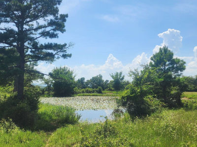 0 SE Highway 63 Talihina, OK 74571