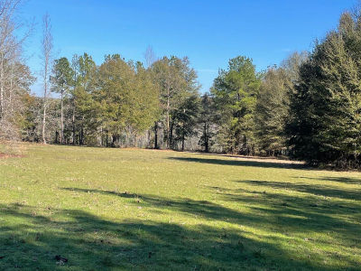 529 Sand Bottom Rd Peterman, AL 36471