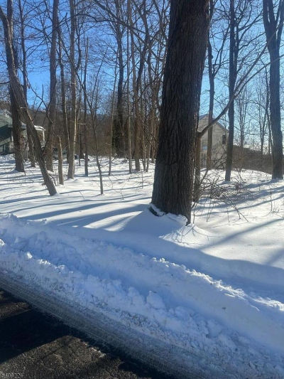 2 Pine Dr Belvidere, NJ 07823