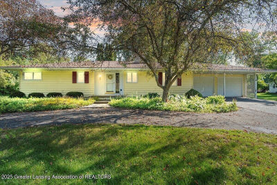 6454 Pleasant River Dr Dimondale, MI 48821