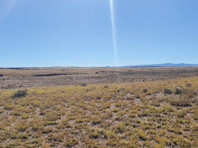 23 County Road 6030 Concho, AZ 85924