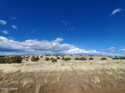 County Road 5111 Concho, AZ 85924