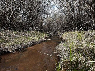 40 Mike Day Dr White Sulphur Springs, MT 59645